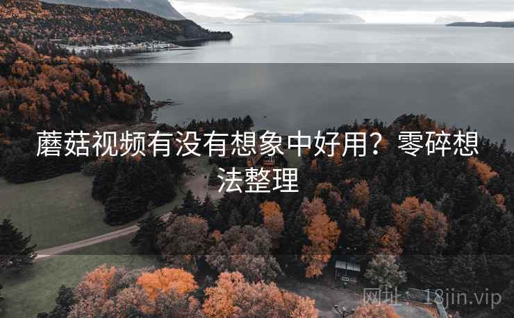 蘑菇视频有没有想象中好用?零碎想法整理 蘑菇视频有没有想象中好用?零碎想法整理