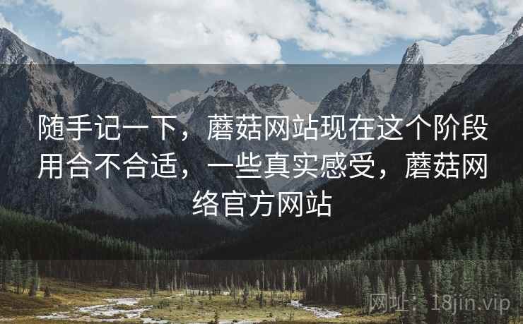 随手记一下，蘑菇网站现在这个阶段用合不合适，一些真实感受，蘑菇网络官方网站
